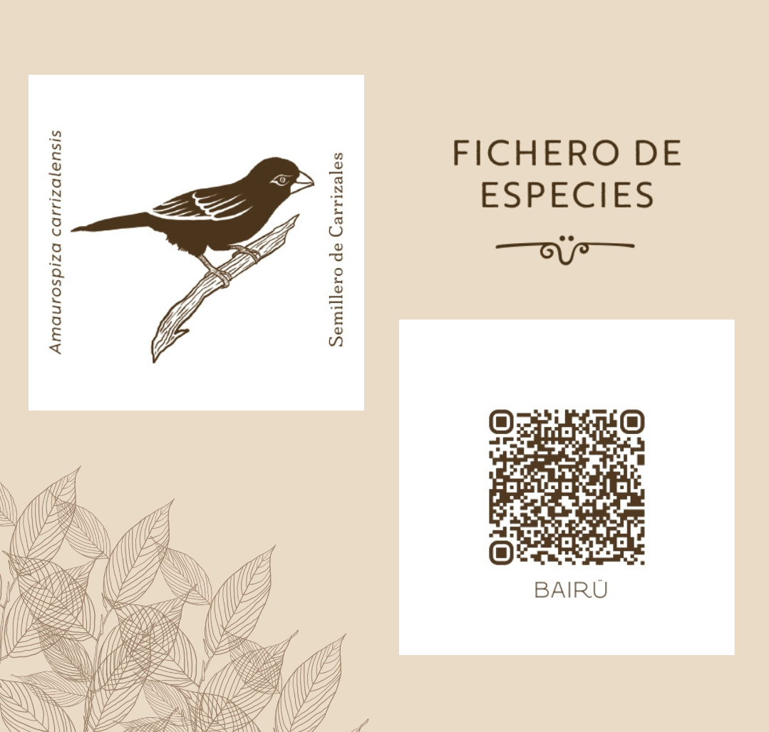 FICHERO DE ESPECIES